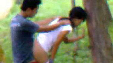Young Lovers Enjoying Quick Sex at Park